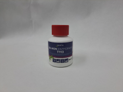 Silikonenferner T113 Bostik 0,1l